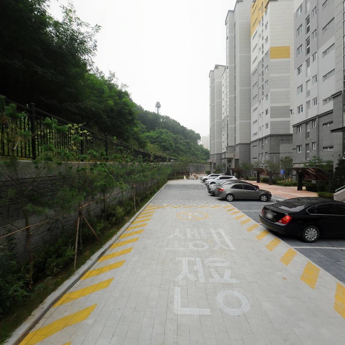 라이언몰_2