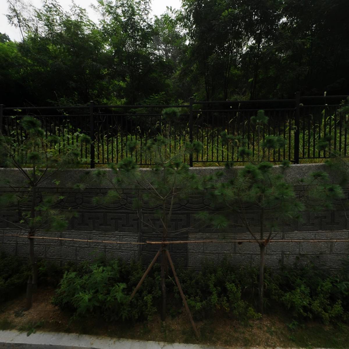 라이언몰