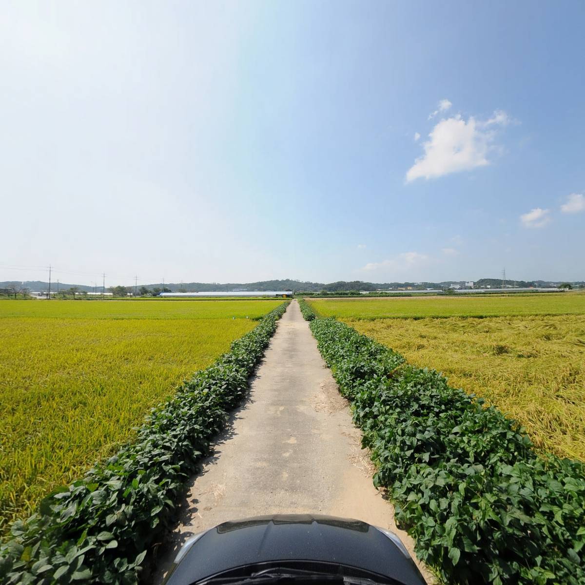 라라그린팜_4