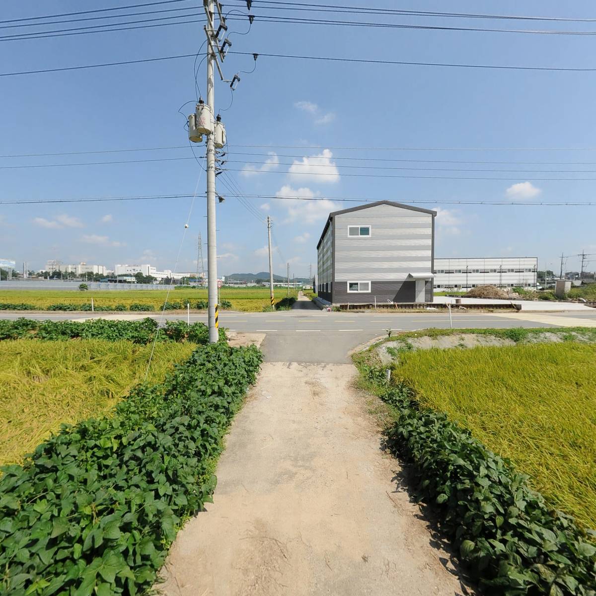 라라그린팜_2