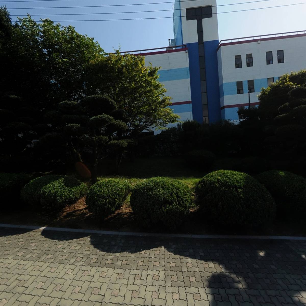 주식회사 비보존제약