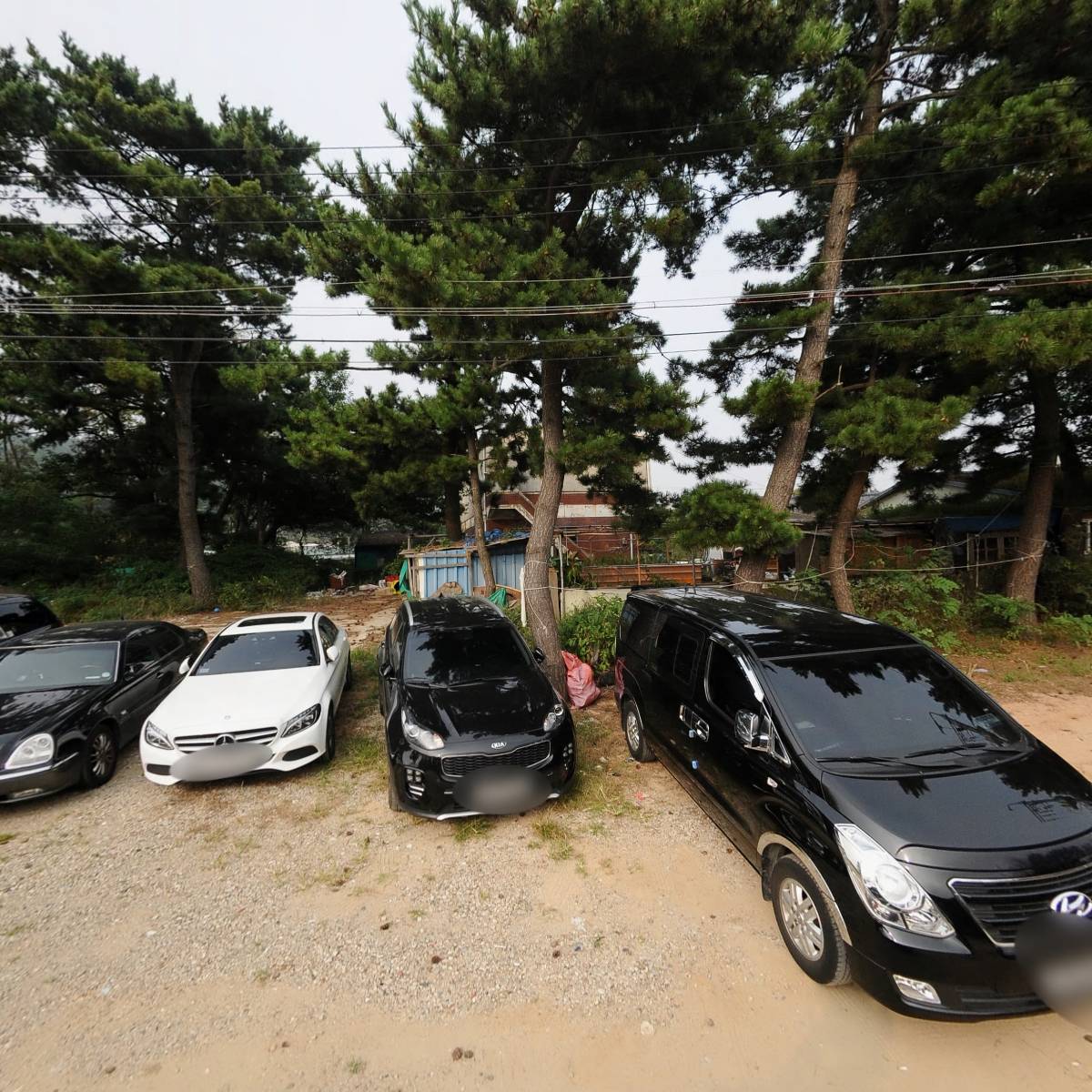 베다니하우스