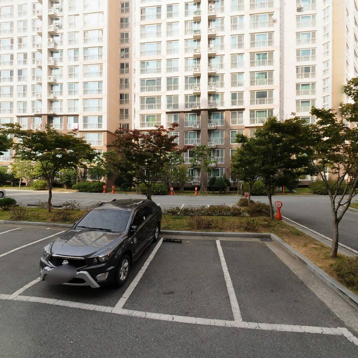 골드헤어