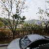 조광상회_3