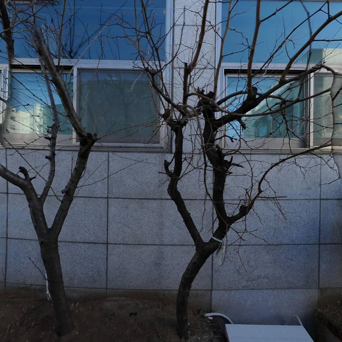 부산진구청_3