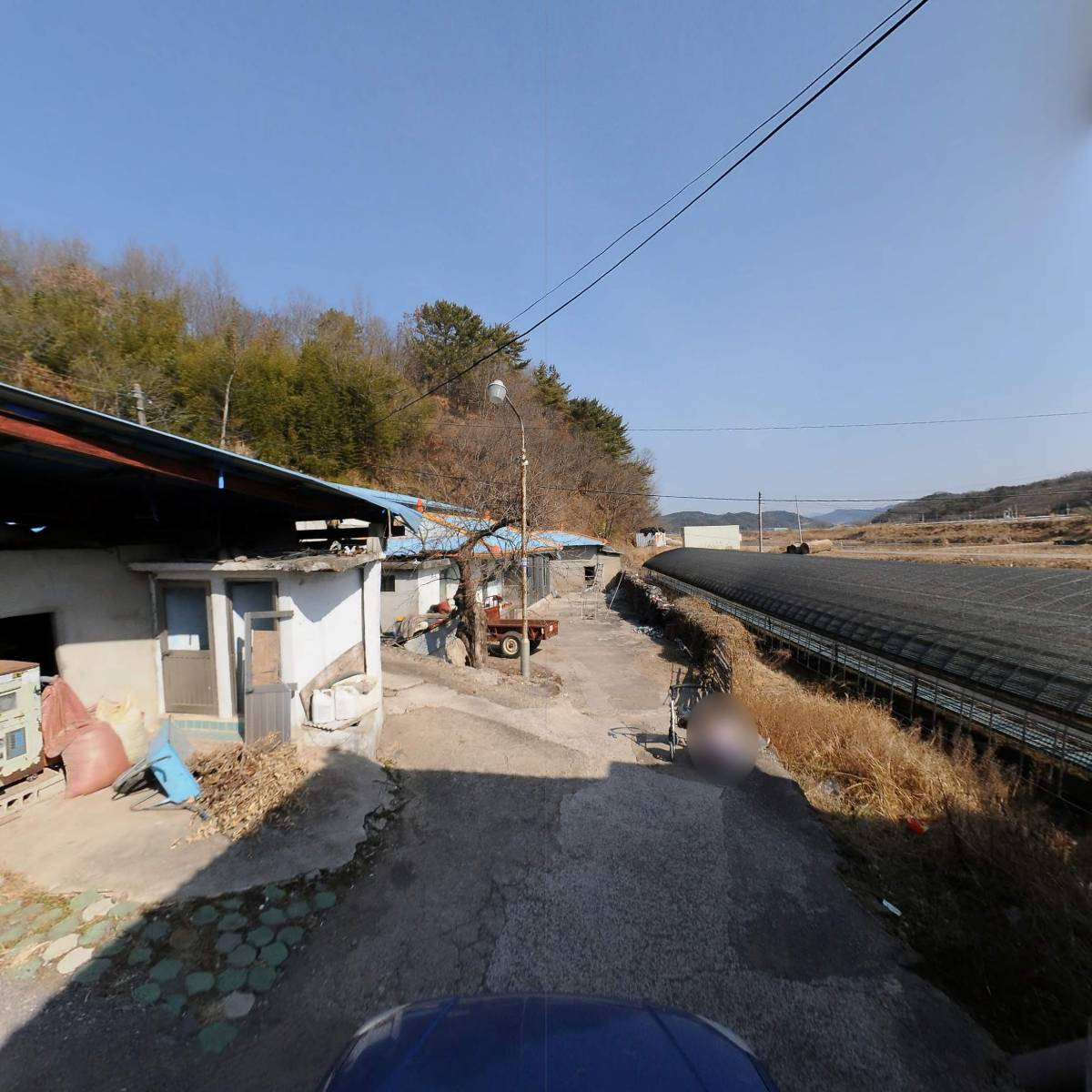 금곡수출딸기영농조합법인_4