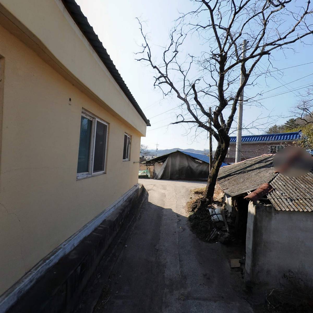 금곡수출딸기영농조합법인_2