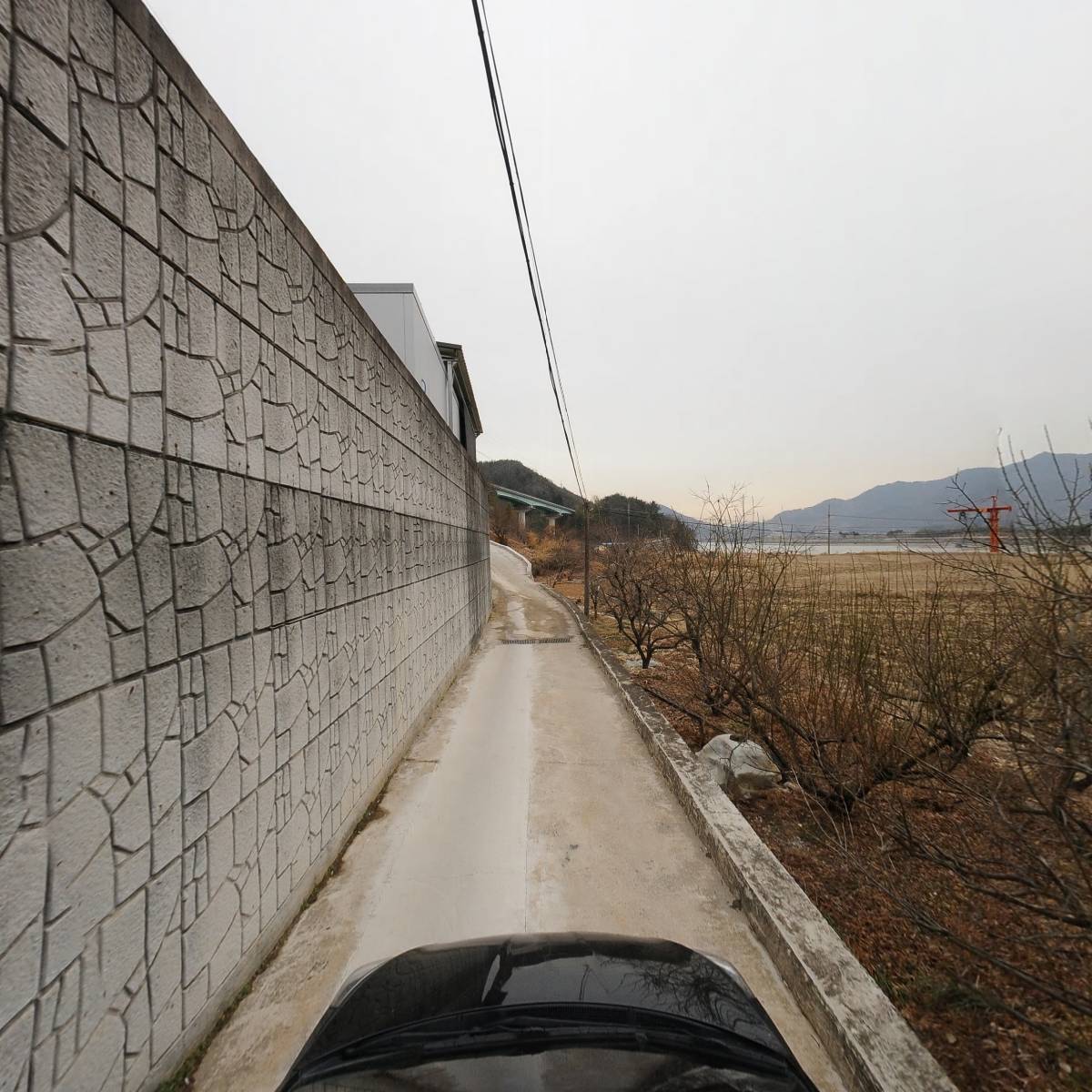코미가먹거리_4