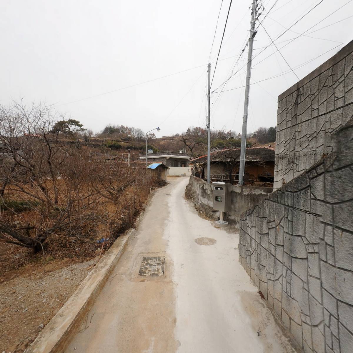 코미가먹거리_2