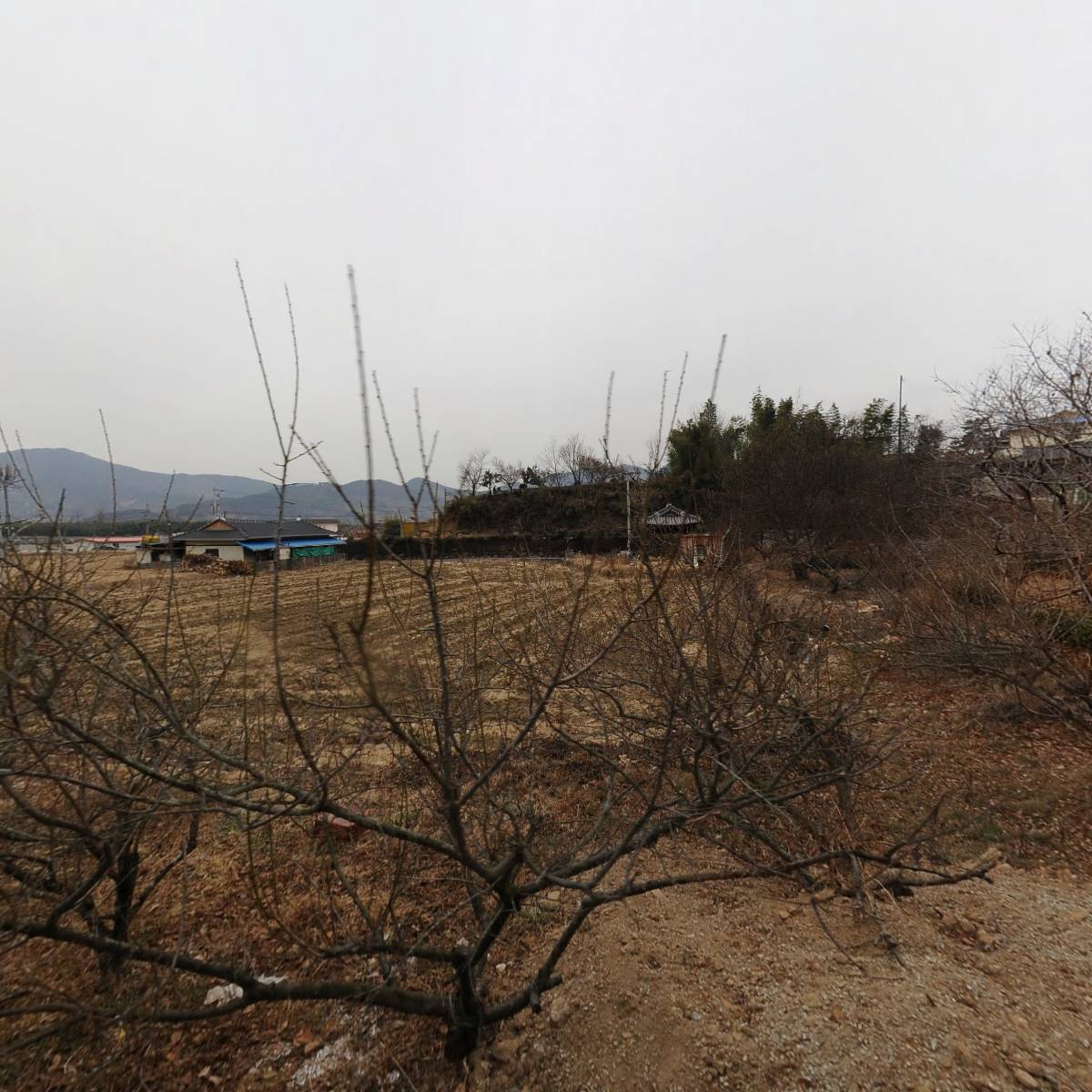 코미가먹거리