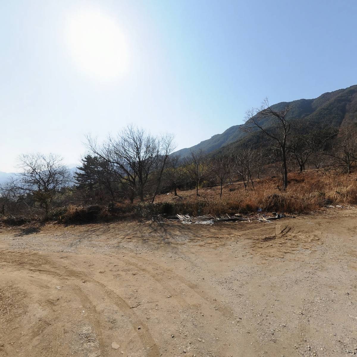 (사)대한불교 금강종 금선암_2