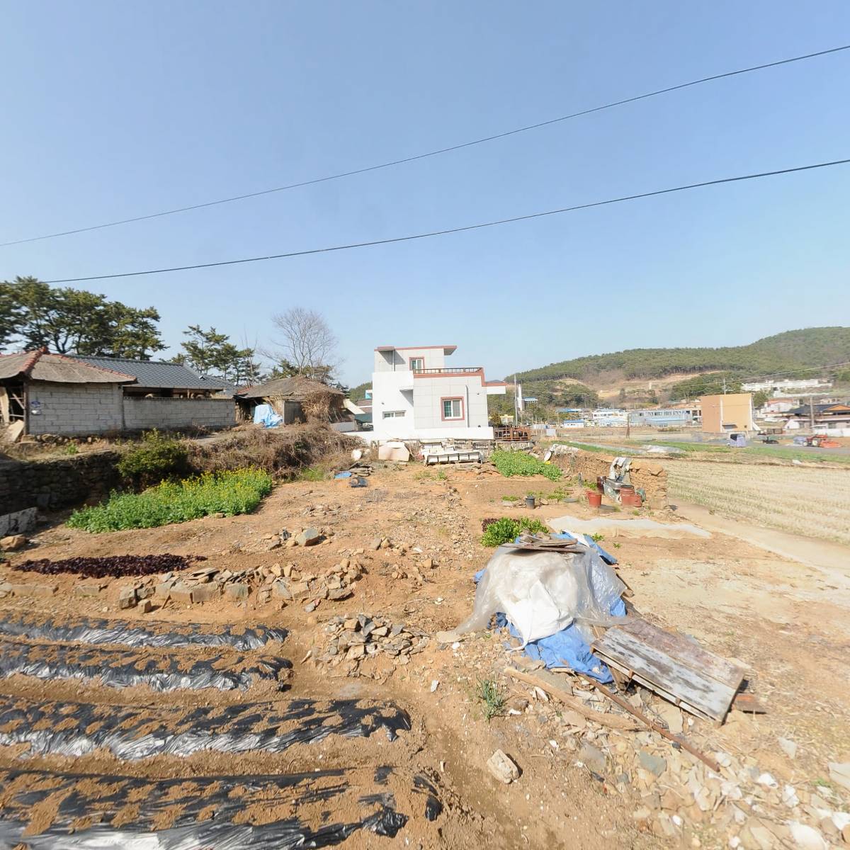 어업회사법인 보라해양(주)