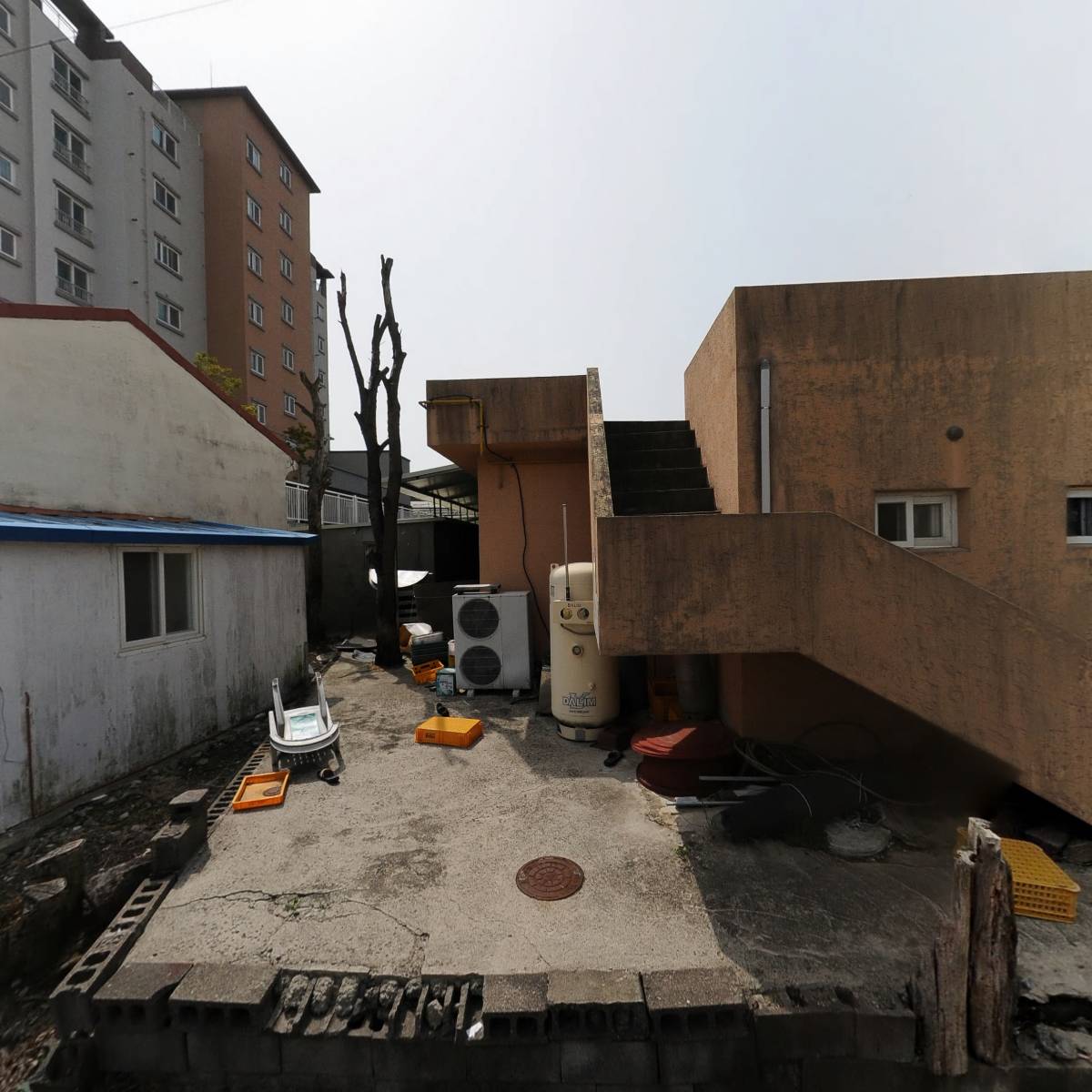 한라흑돼지