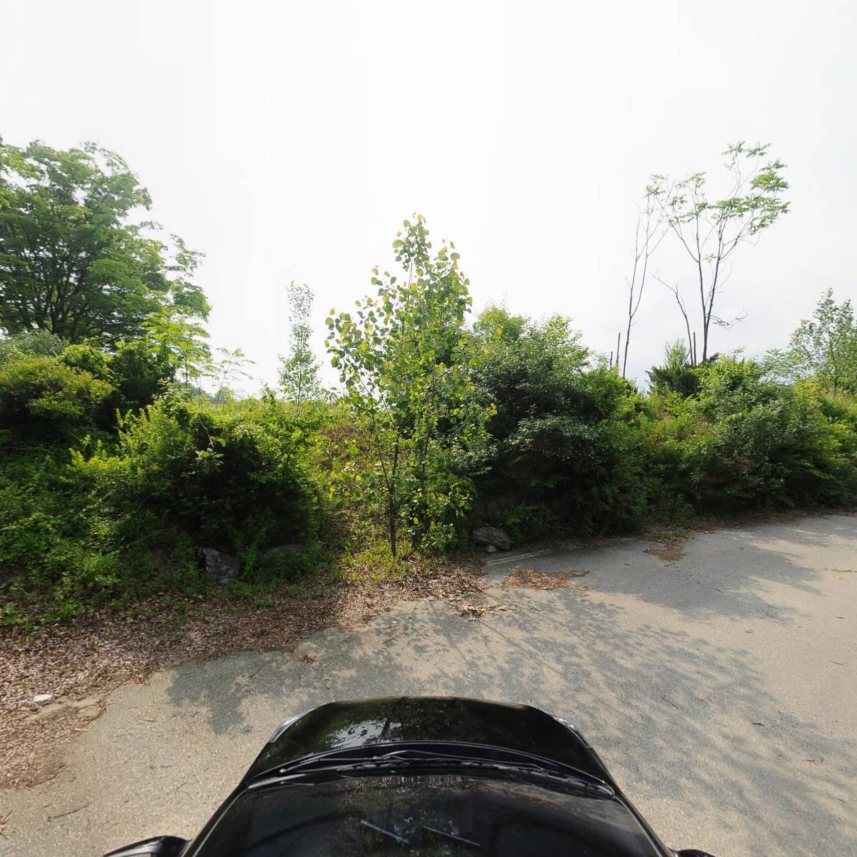 제2503전투경찰대_4