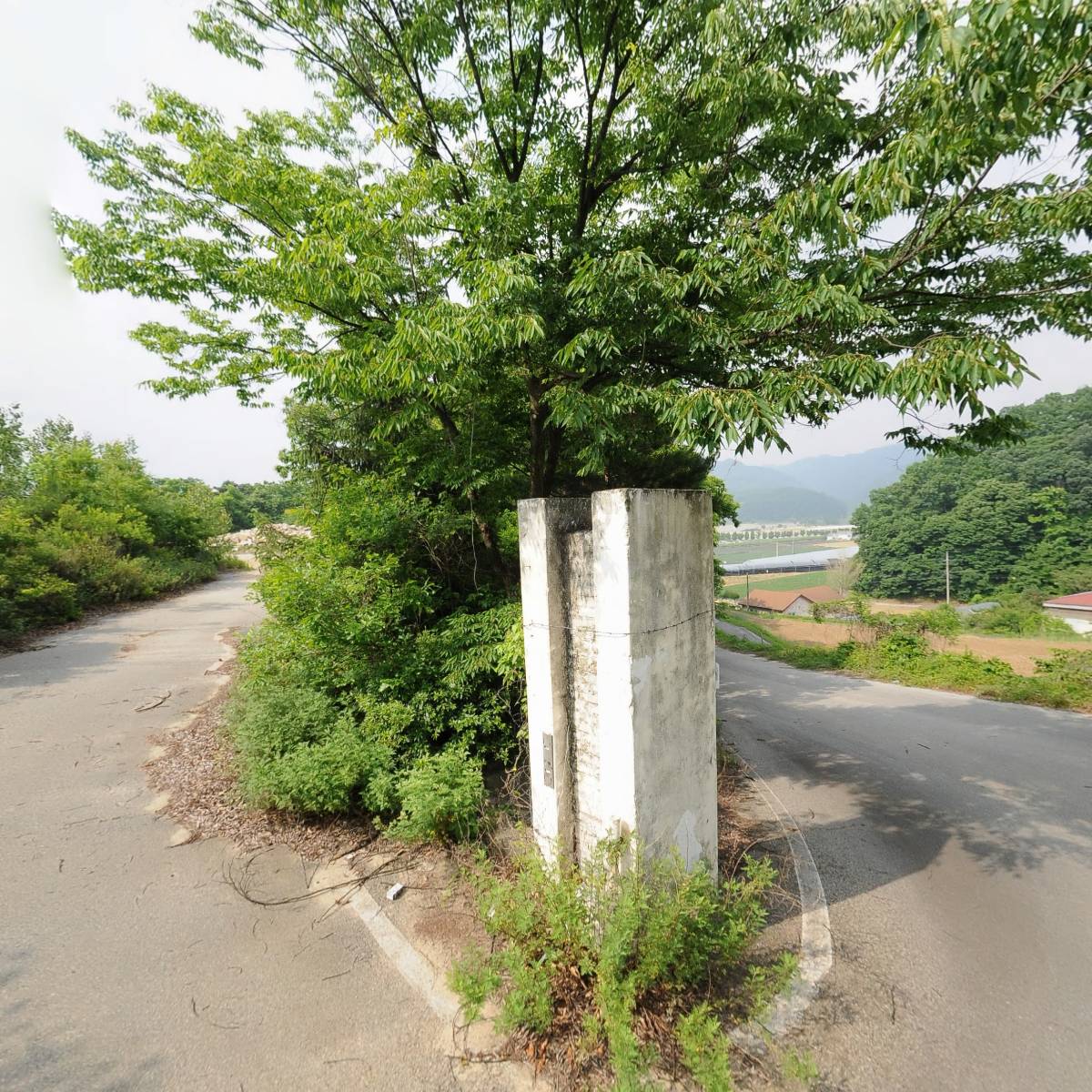 제2503전투경찰대