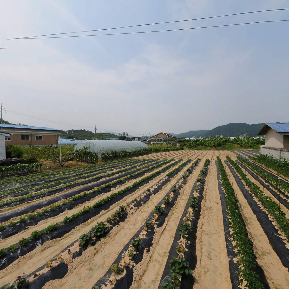 한국농촌지도자소이면회_3