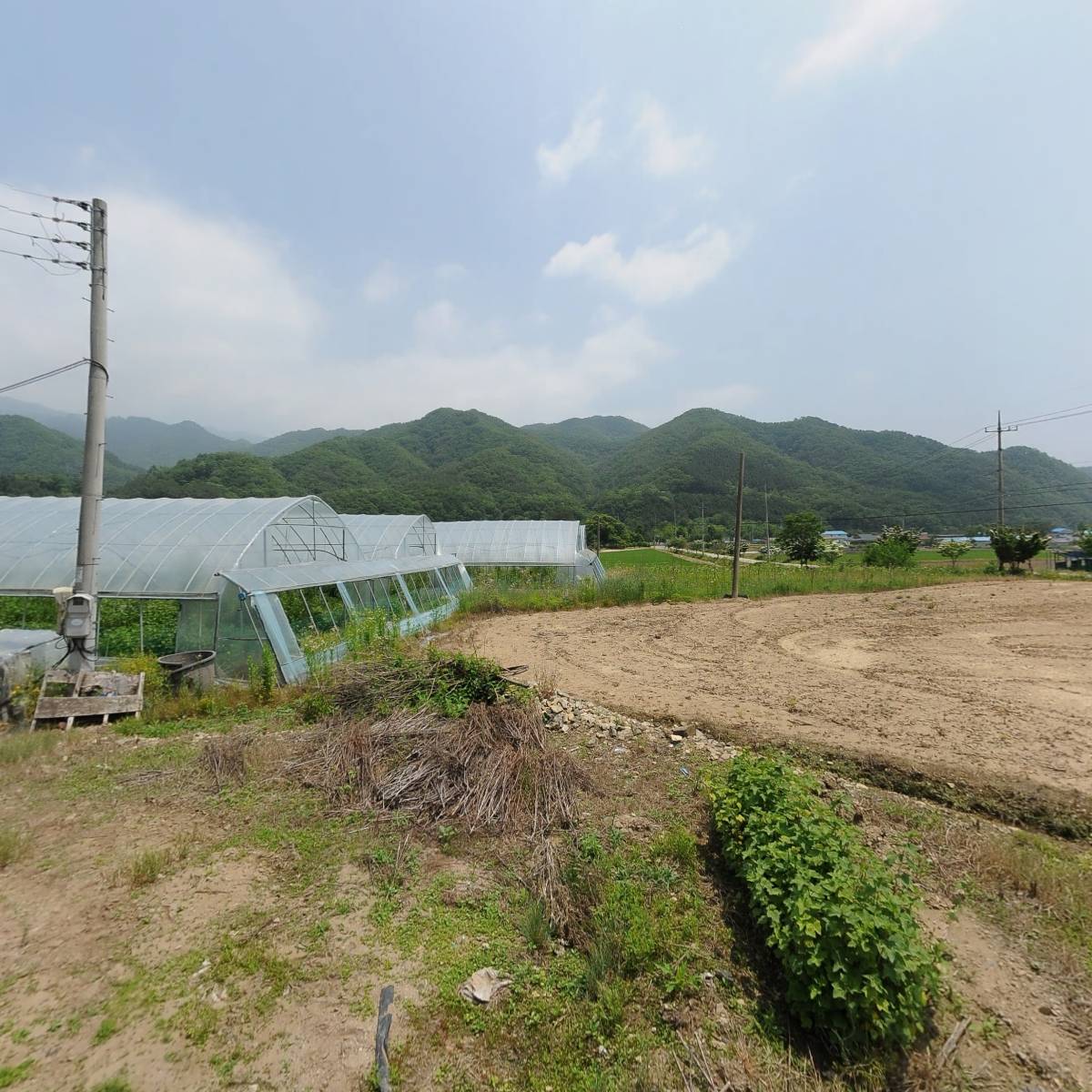 농업회사법인(주)명지