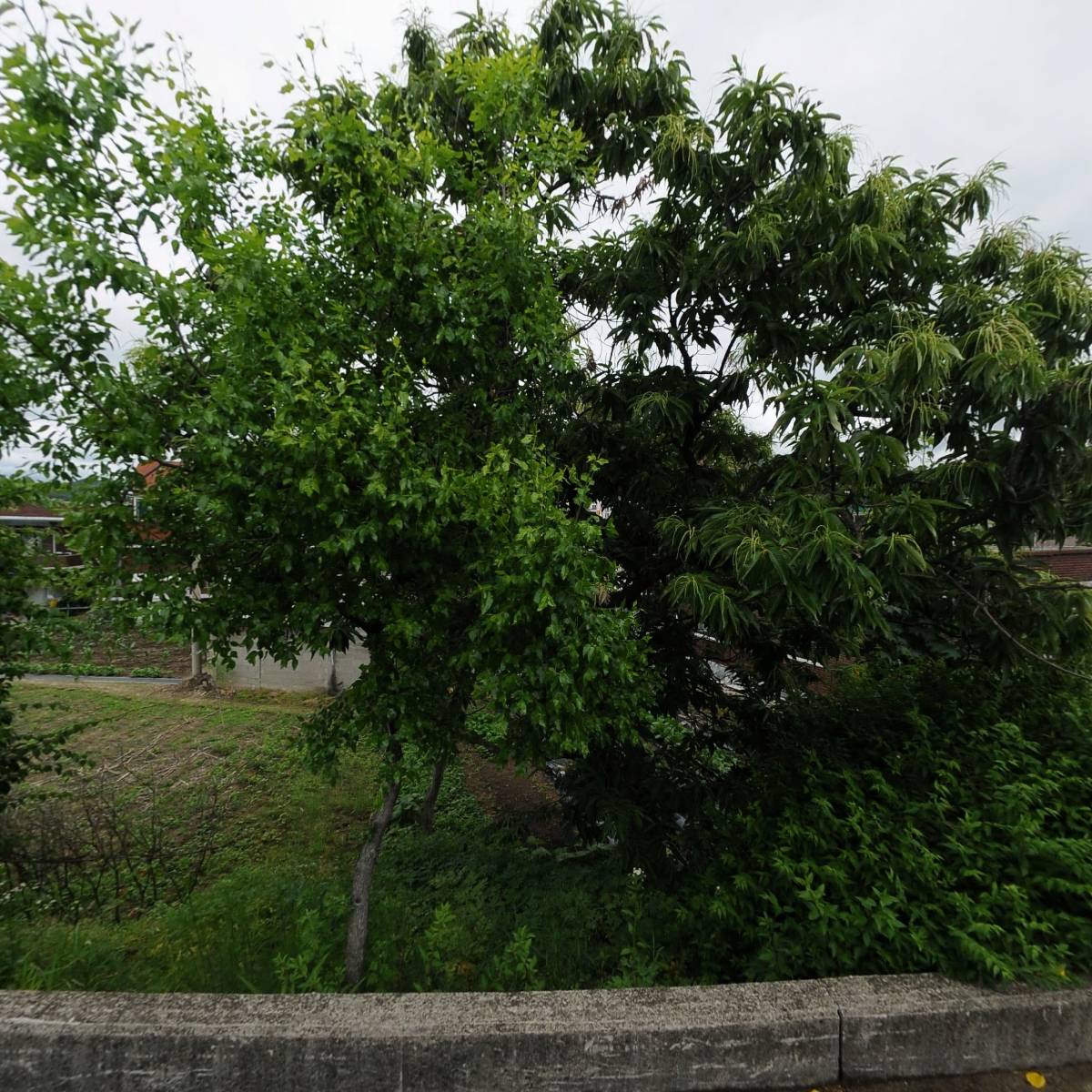 (합자)금학건설