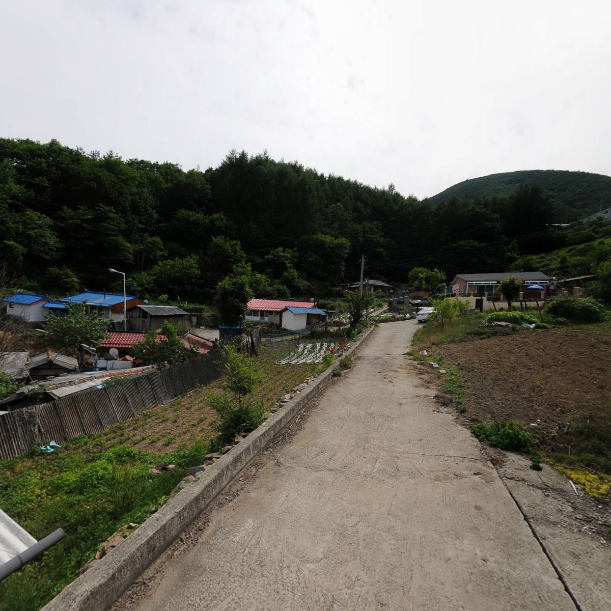 대한예수교 장로회 초대교회_2