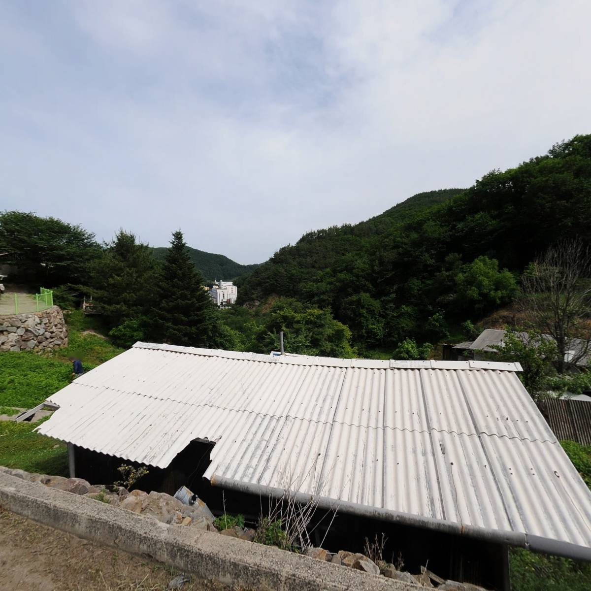 대한예수교 장로회 초대교회