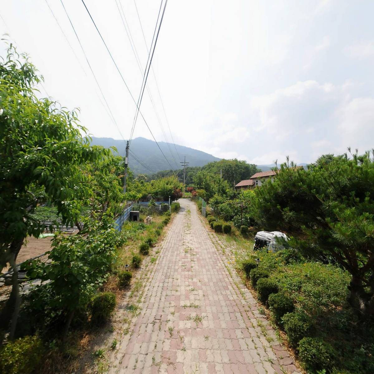 기쁨의집_2