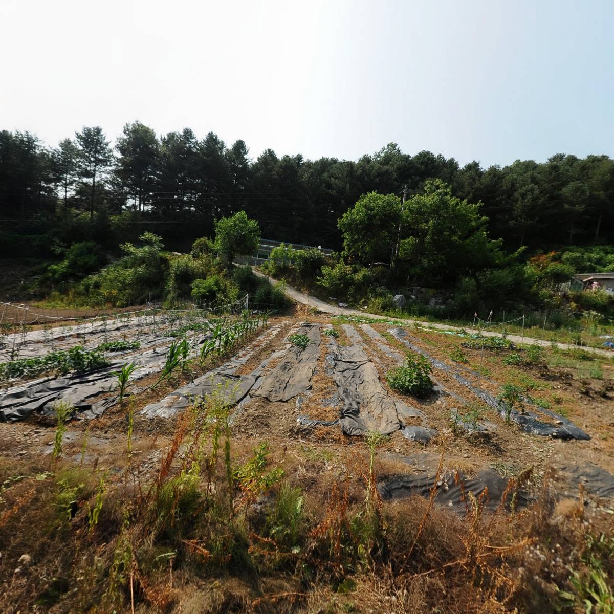 춘천대리운전_3