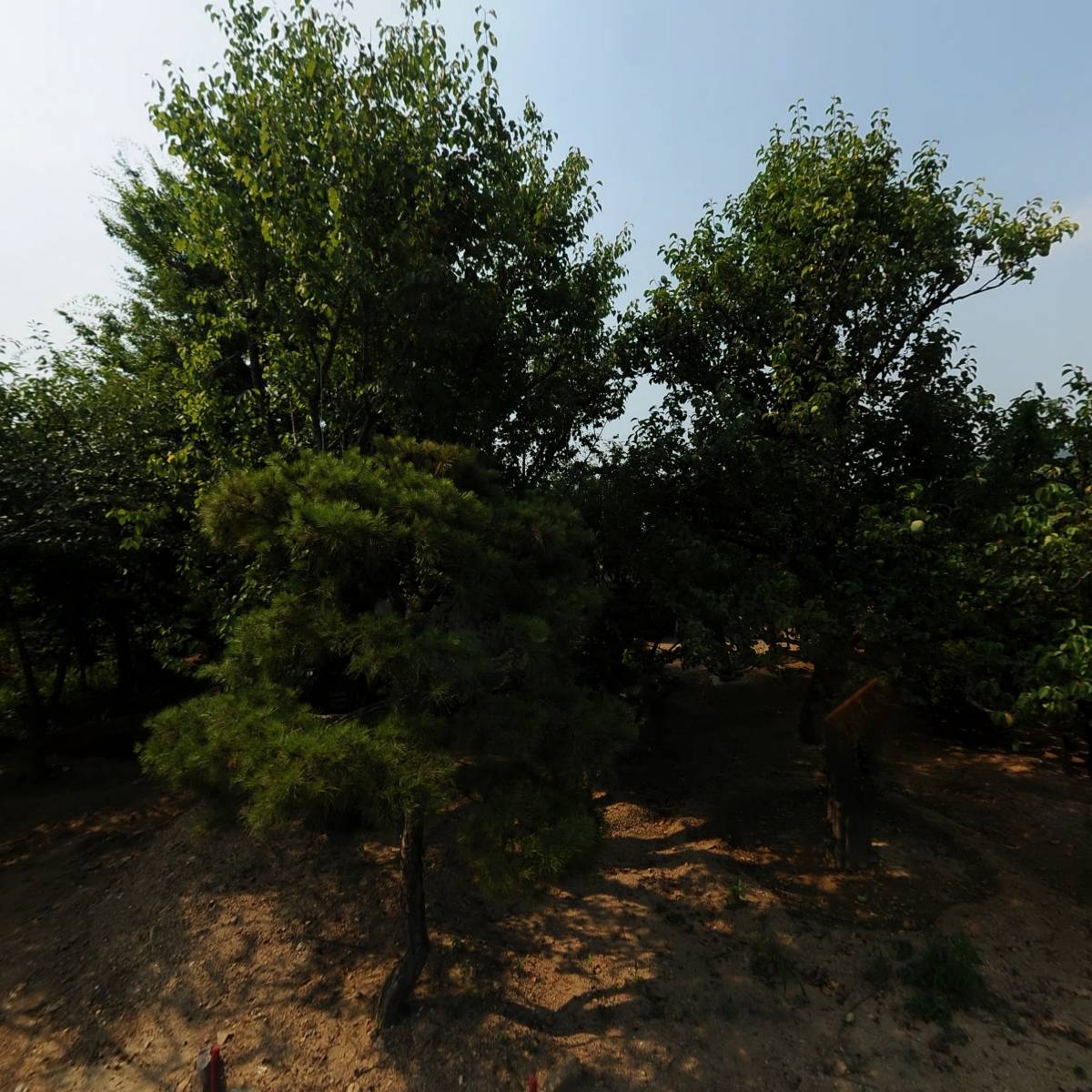 수호플랜트잇