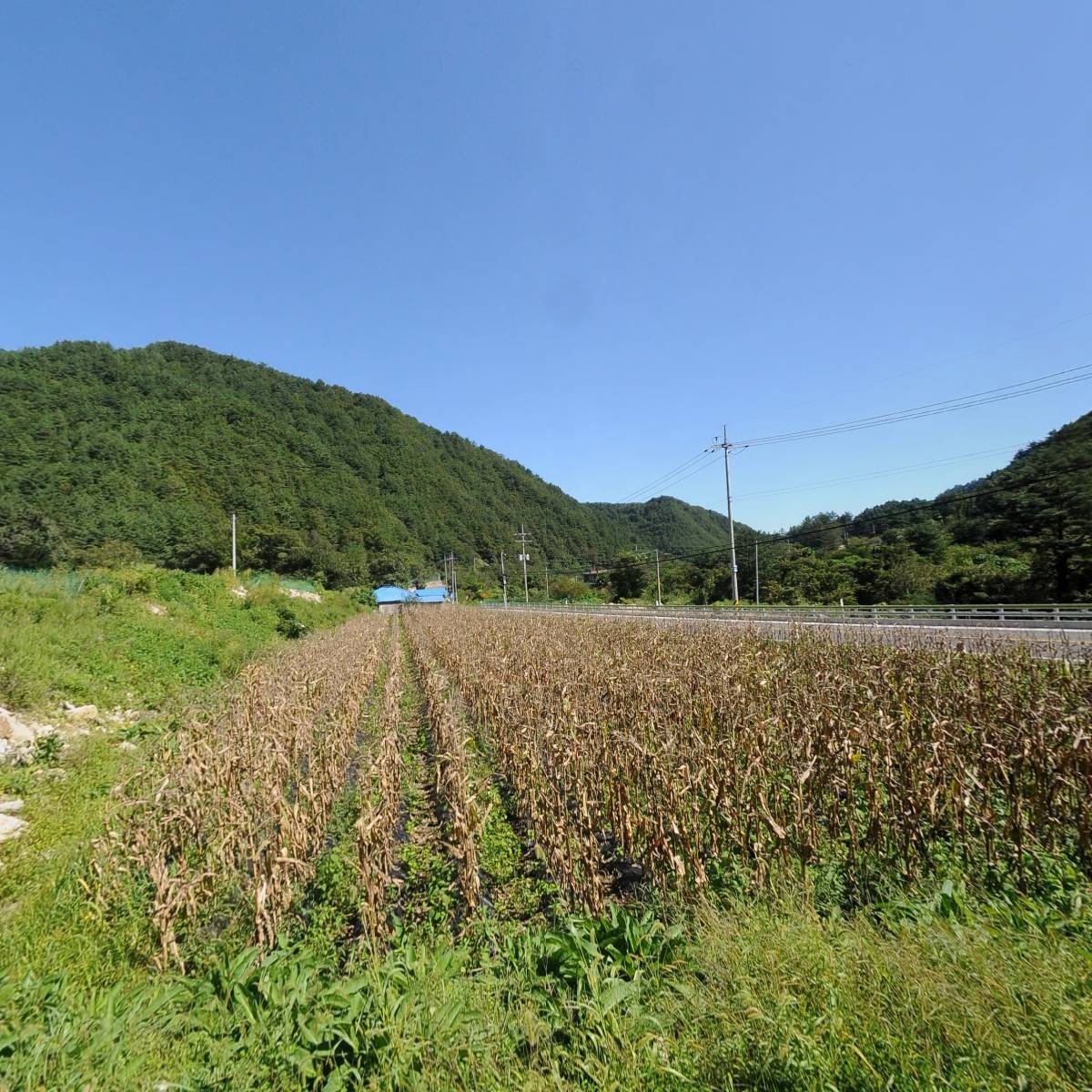 솔내마을환경보존회