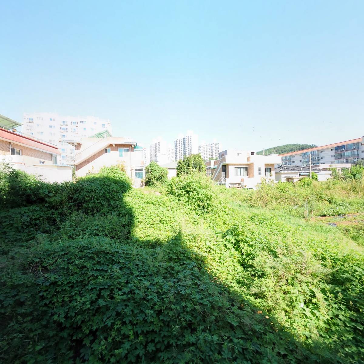 샛별하나어린이집_3
