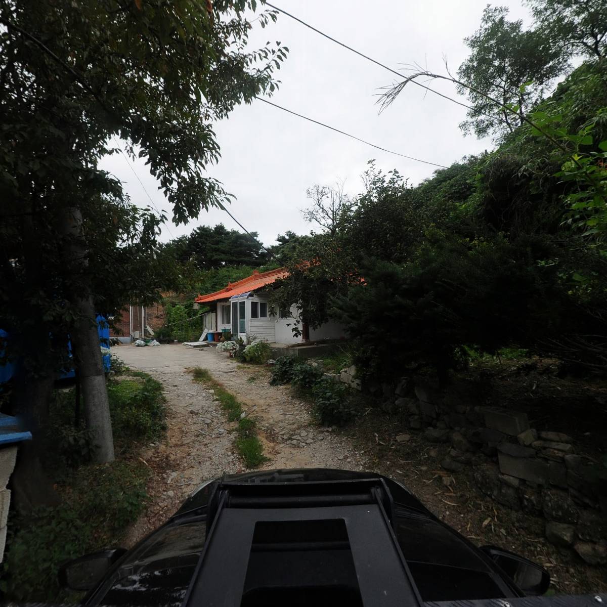 제주도니성산미트_4