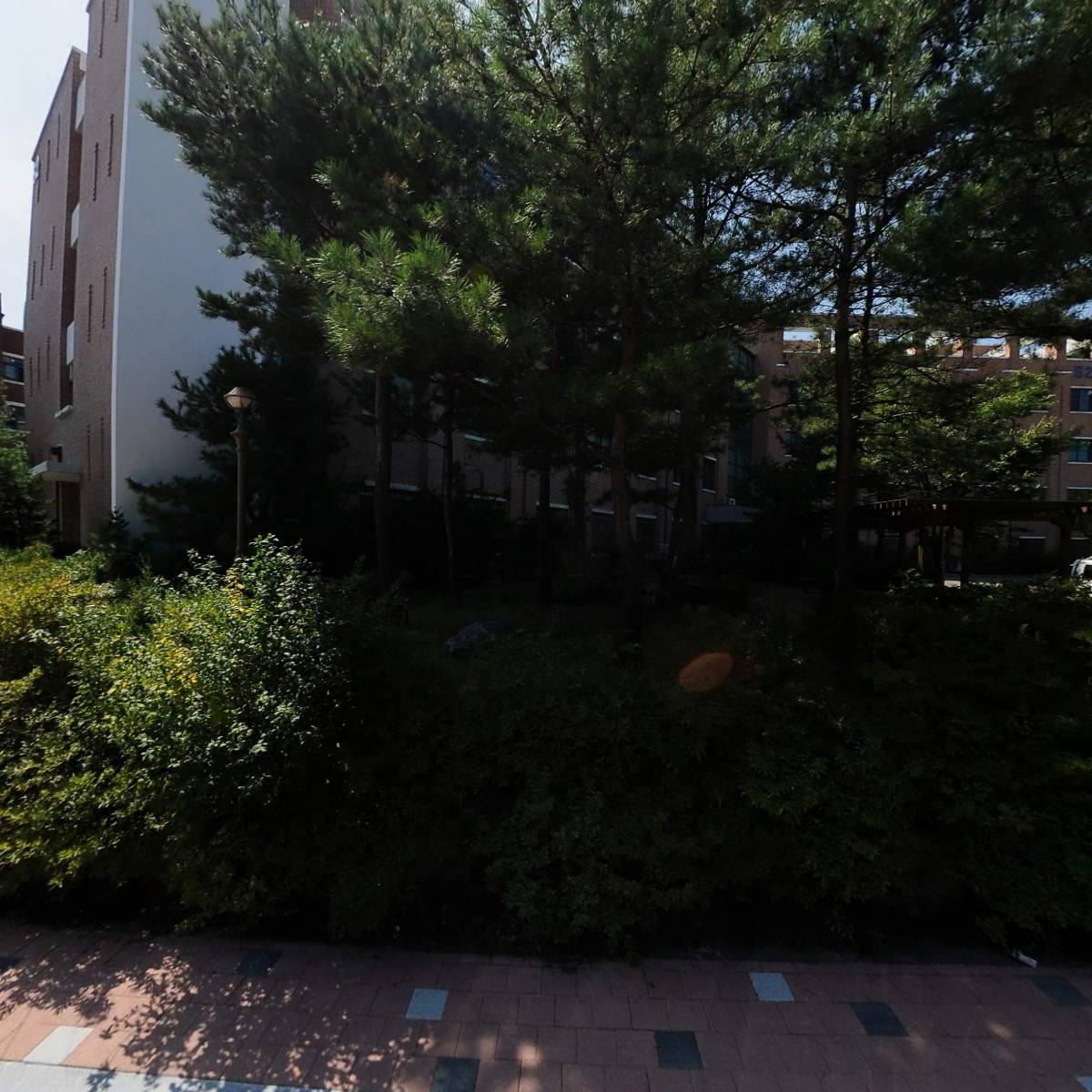 국립강릉원주대학교