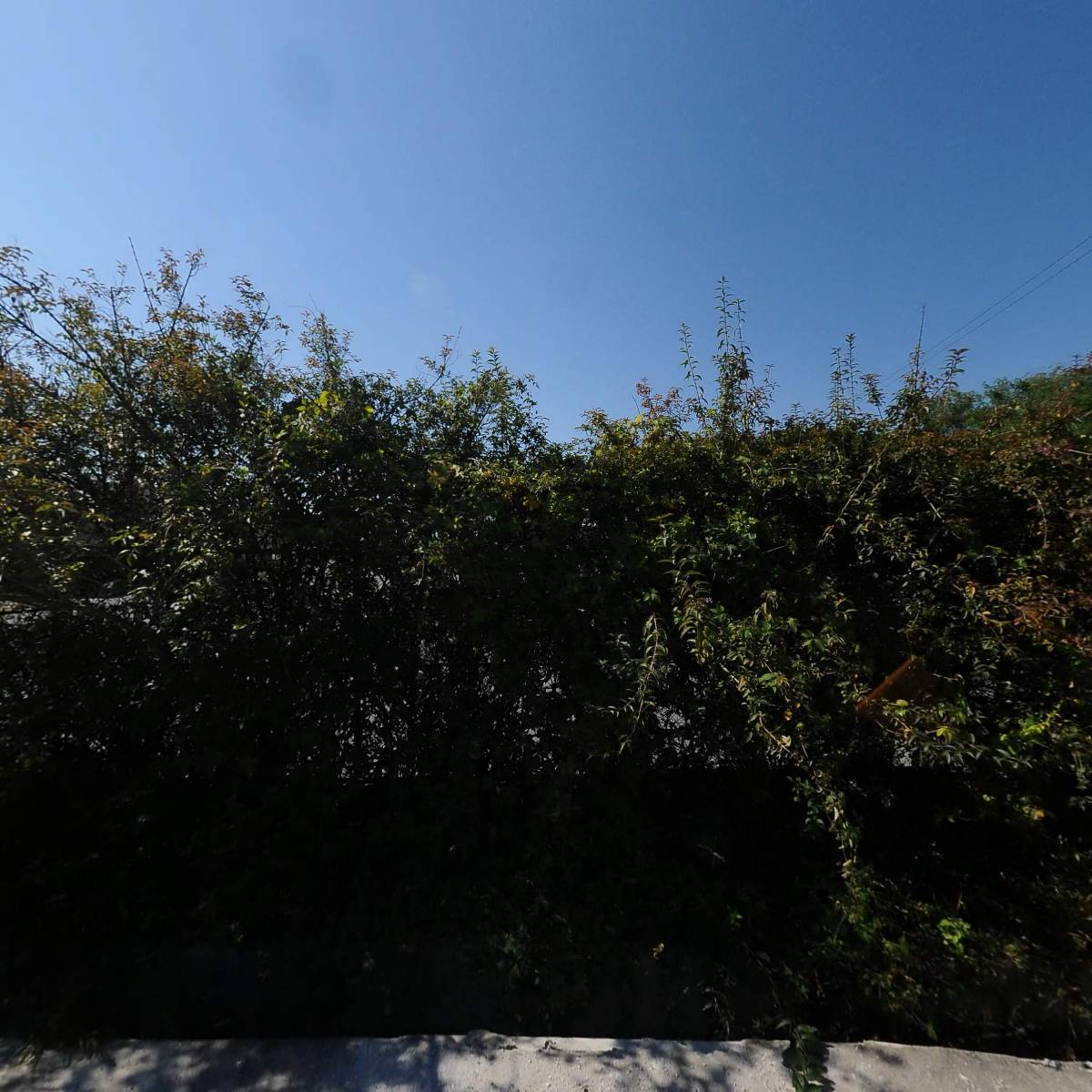 소망농장_3
