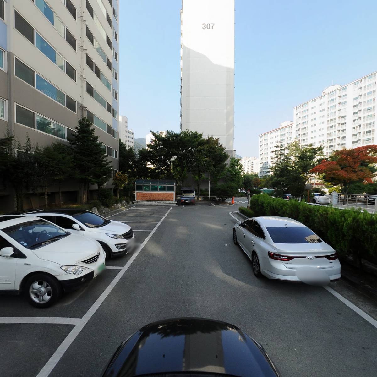 굿아이향수_4