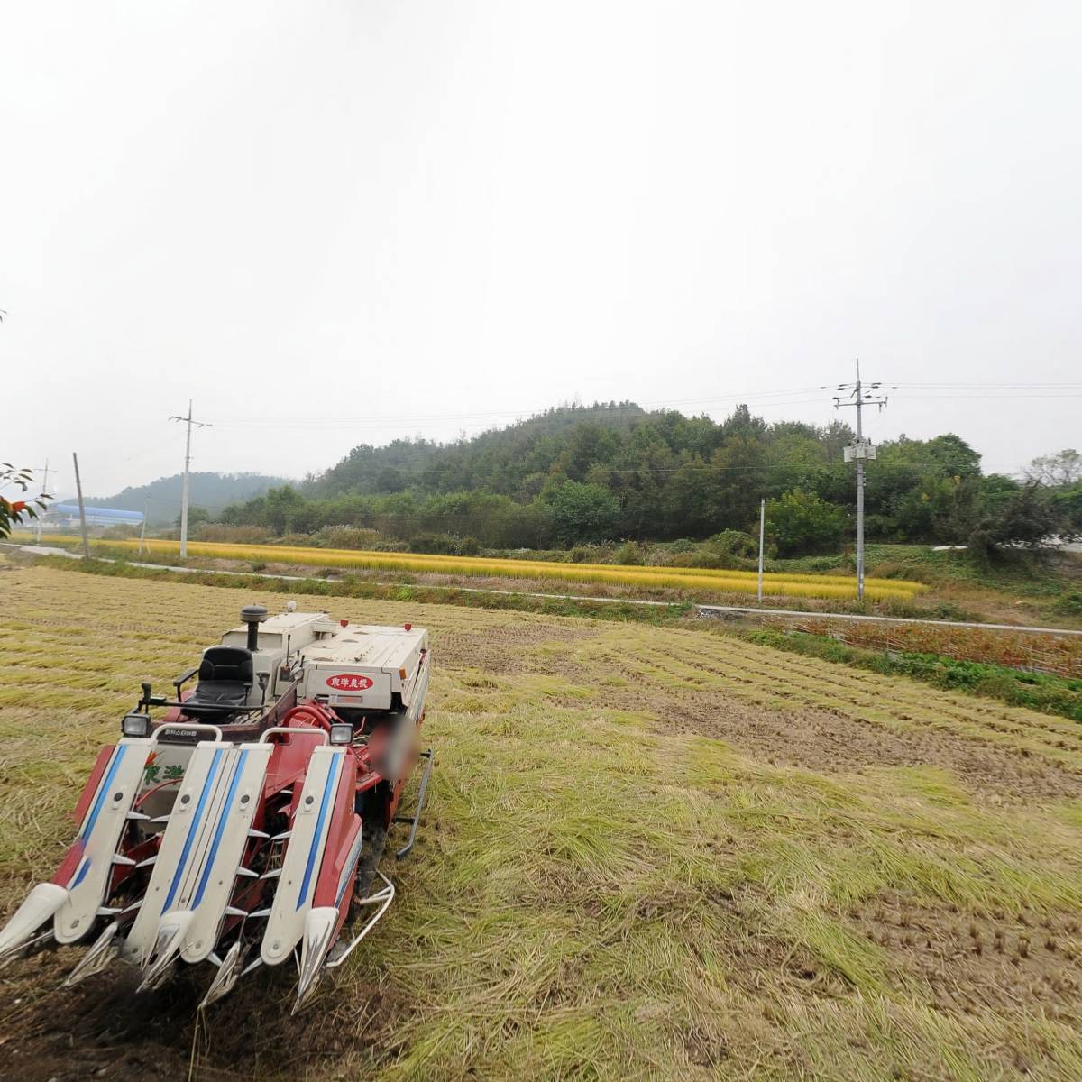 고니농장