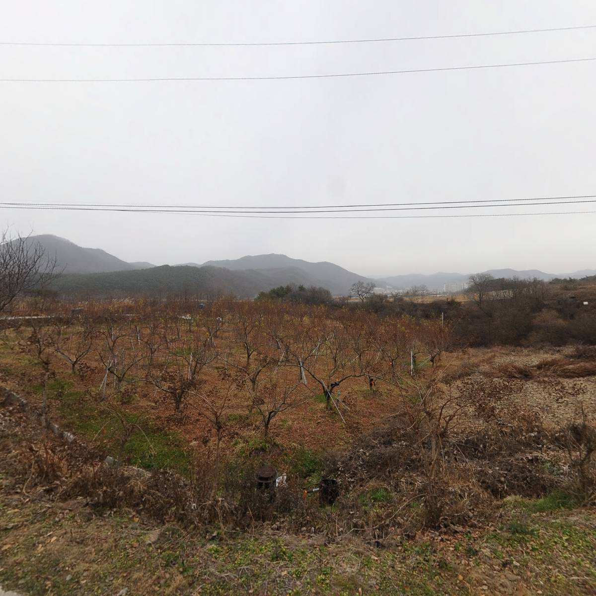 청송모던파머