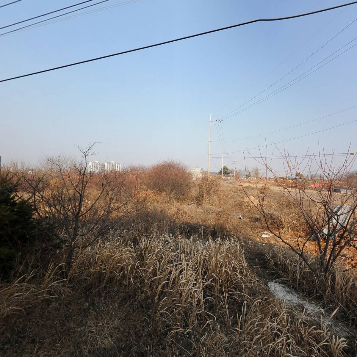 알티엔(RTN)