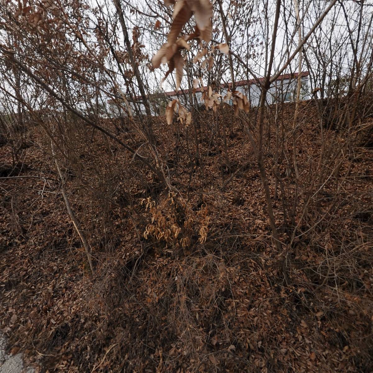 주식회사 한국쏠라텍_3