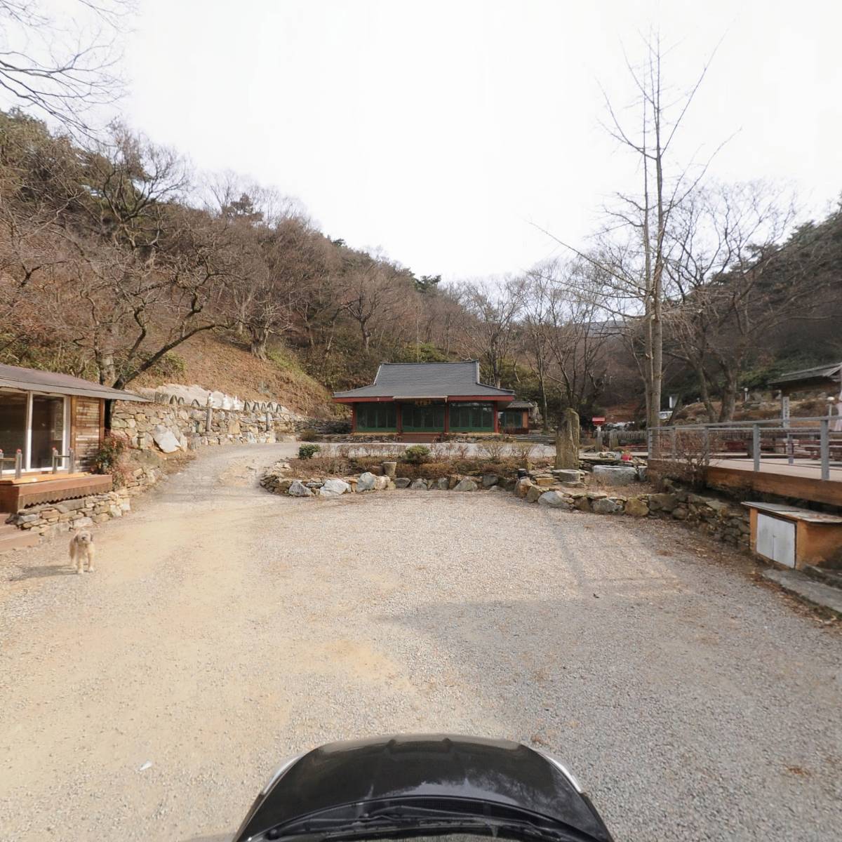 한국불교태고종 약사사_4