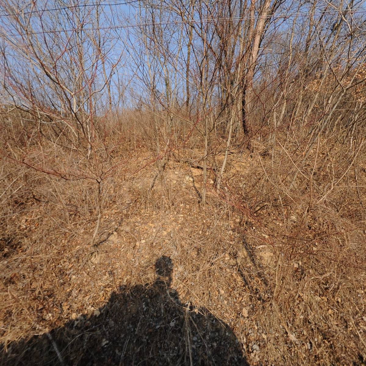 농업회사법인주식회사돌나라한농복구회장흥