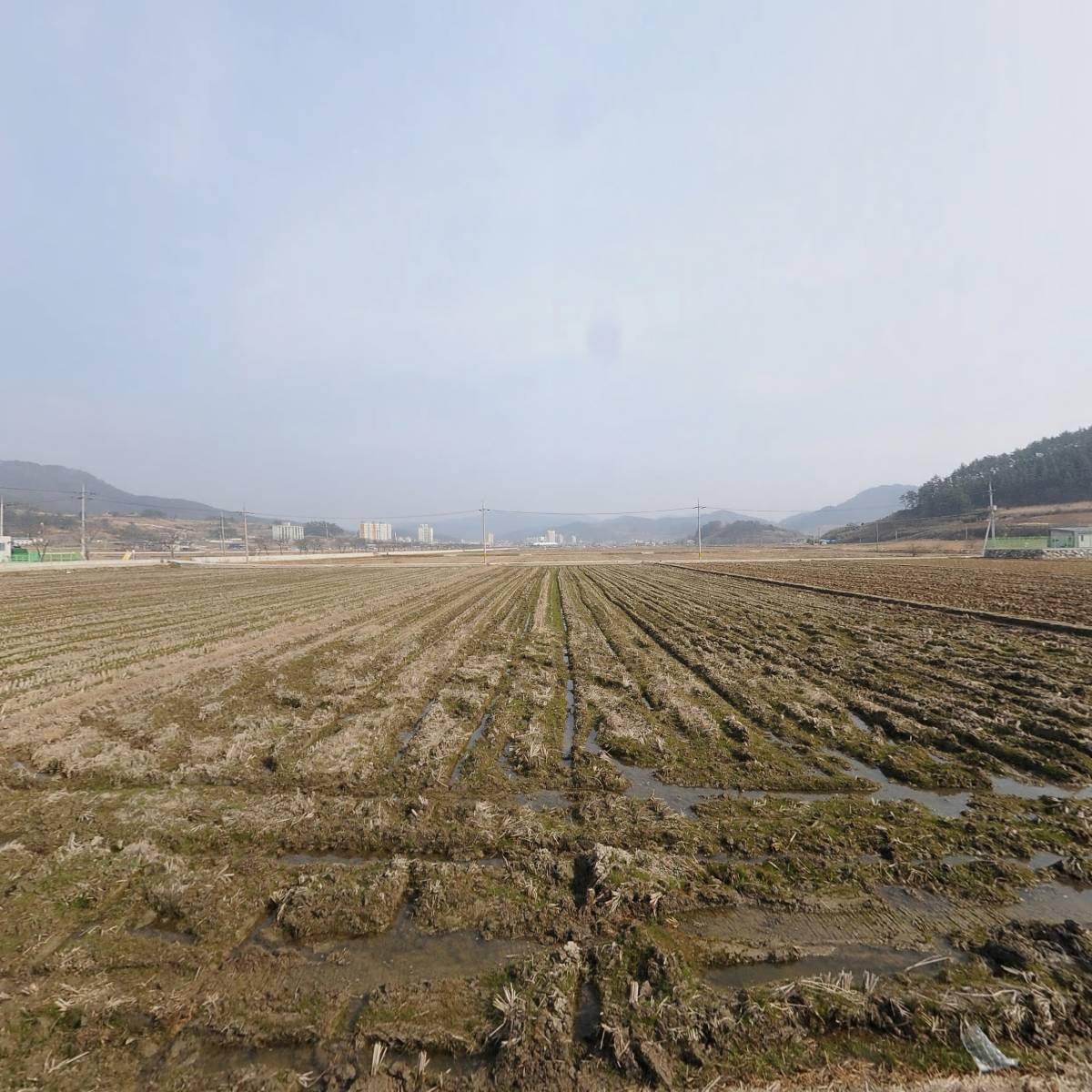 진도군 농촌신활력플러스 추진단_3