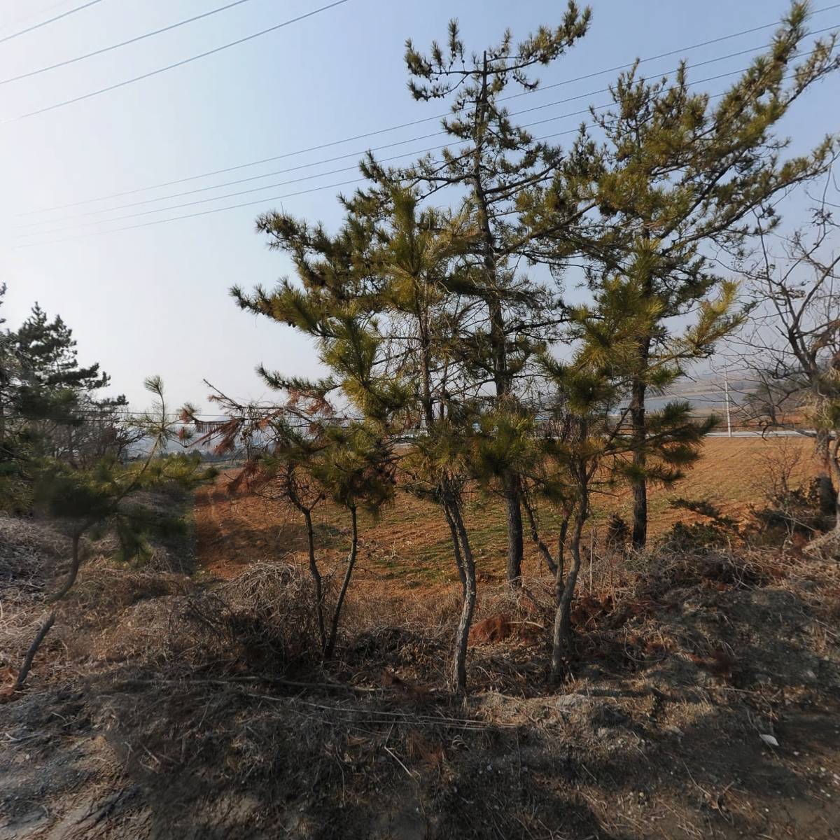 주식회사 킹광물개발