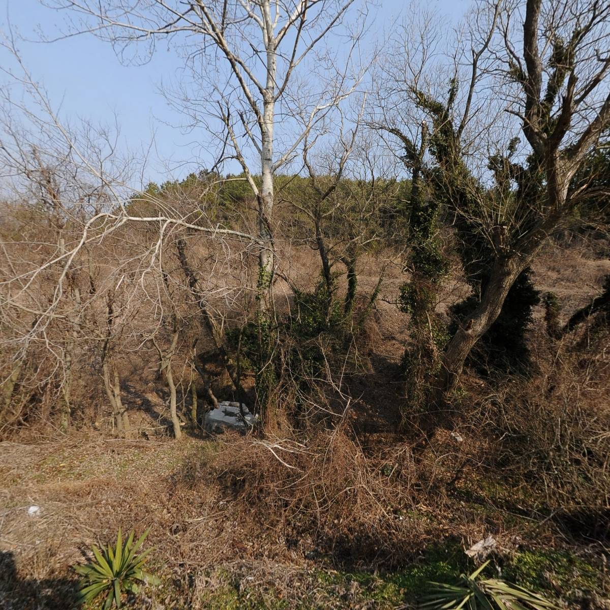 사건과 사람들 <탐정 전문>