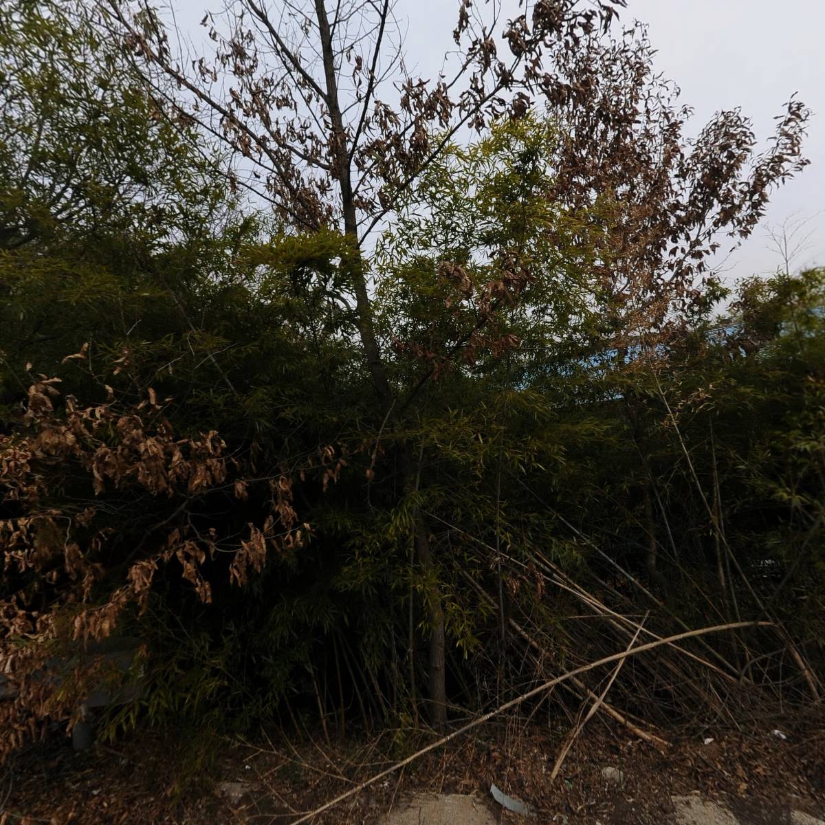 황토그린보드(주)