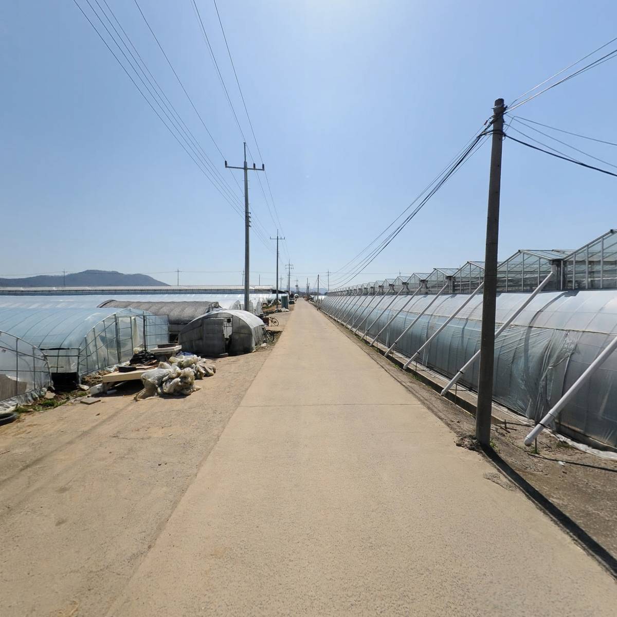 산포농협육묘사업소_2