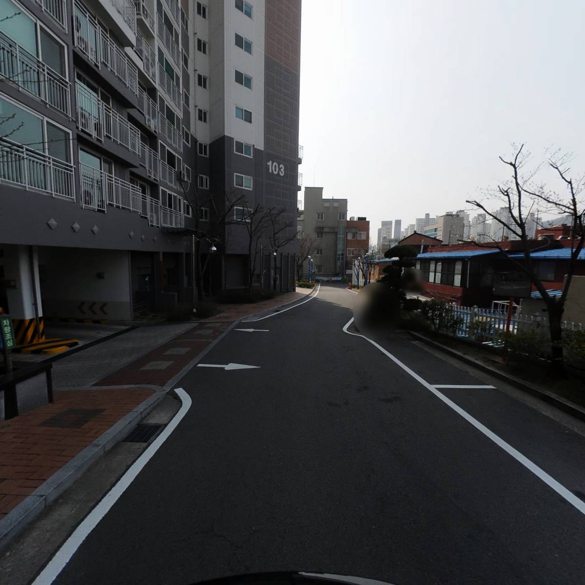 현동물병원_2