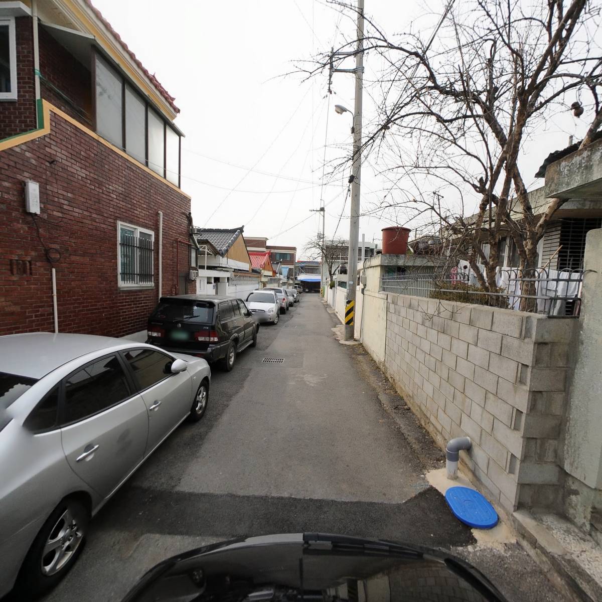 선김치_2