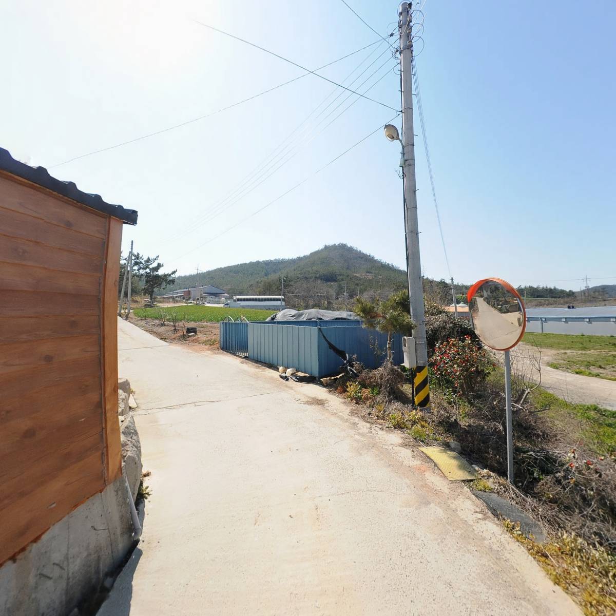 어업회사법인 (주) 신안미꾸라지_2