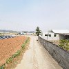 농업회사법인 주식회사 리치팜_2