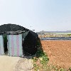 농업회사법인 주식회사 리치팜