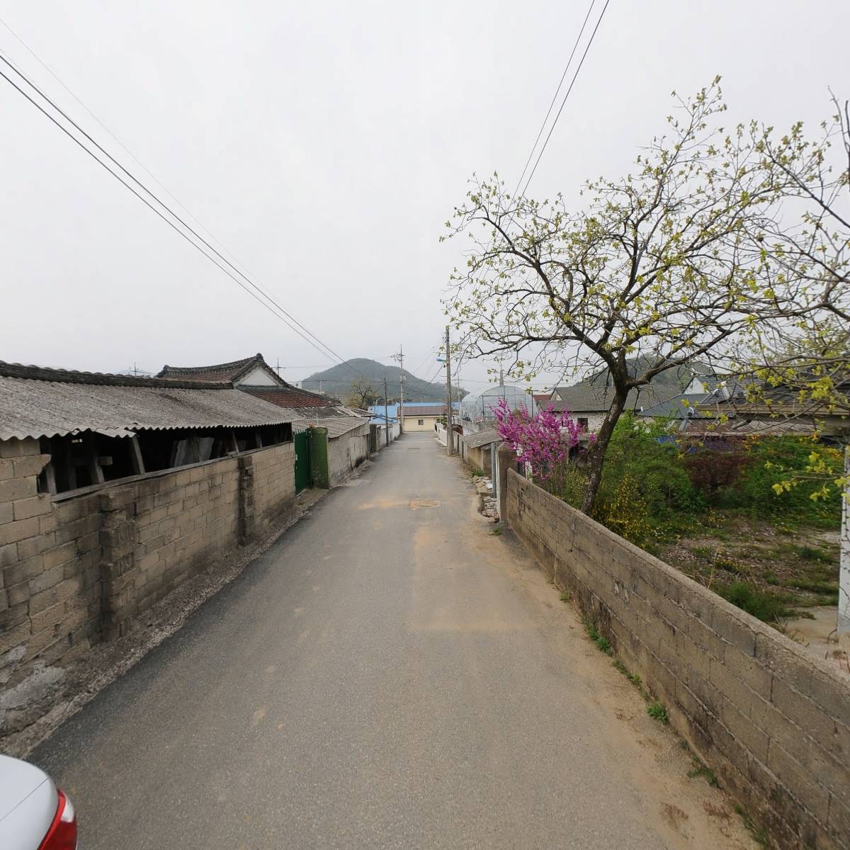 리미쥬_2
